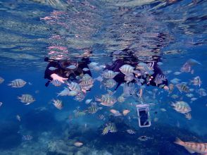 プランの魅力  の画像