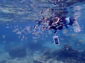 プランの魅力  の画像