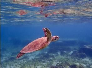 プランの魅力  の画像