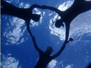 プランの魅力 1組限定のプライベートツアー の画像