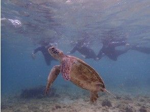 プランの魅力 少人数だから安心 の画像