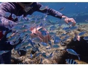 プランの魅力 思い出の写真サポート の画像