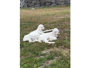 プランの魅力 駐車場の近辺も楽しめます の画像