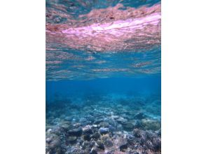 プランの魅力 海を知り尽くすプロ の画像