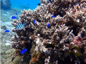 プランの魅力 入った瞬間から・・・ の画像