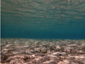 プランの魅力 浅瀬で練習中も綺麗です の画像