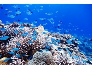 プランの魅力 初心者・体力に自信がない方も安心 の画像