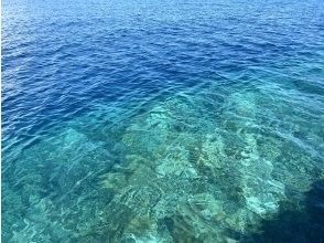 プランの魅力 港から近いポイントで船酔いリスク軽減 の画像