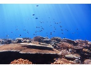 プランの魅力 糸満の海の透明度 の画像