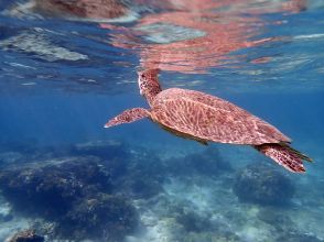 プランの魅力  の画像