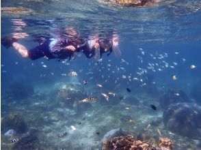 プランの魅力  の画像