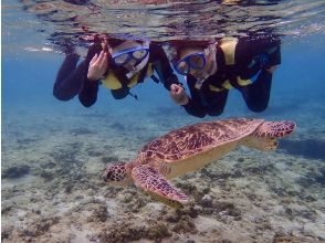 プランの魅力  の画像