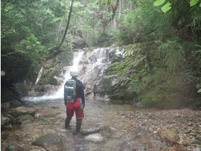 プランの魅力 1ノ滝 の画像