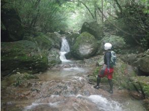 プランの魅力 2ノ滝 の画像