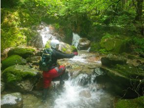 プランの魅力 4ノ滝 の画像