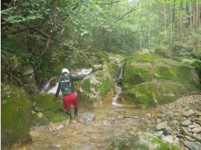 プランの魅力 5ノ滝 の画像