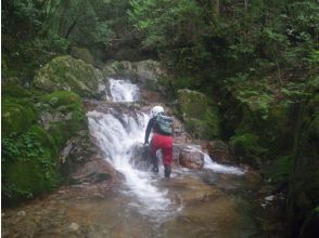 プランの魅力 6ノ滝 の画像