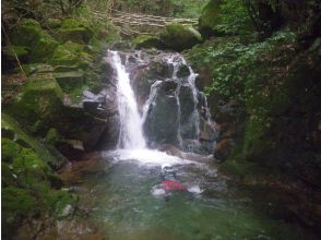 プランの魅力 7ノ滝 の画像