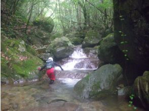 プランの魅力 8ノ滝 の画像