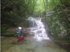 プランの魅力 9ノ滝 の画像