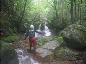 プランの魅力 10ノ滝 の画像
