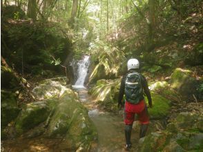 プランの魅力 11ノ滝 の画像