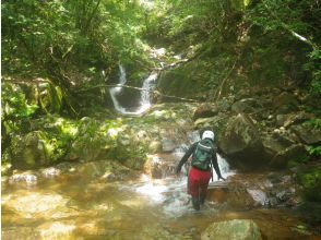プランの魅力 14ノ滝 の画像