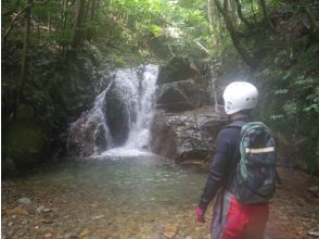 プランの魅力 15ノ滝 の画像