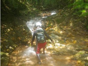 プランの魅力 16ノ滝 の画像