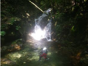 プランの魅力 17ノ滝 の画像