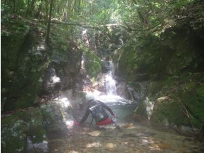 プランの魅力 18ノ滝 の画像