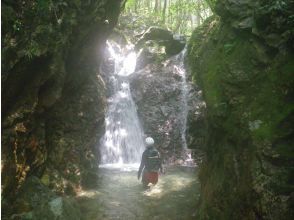 プランの魅力 19ノ滝 の画像