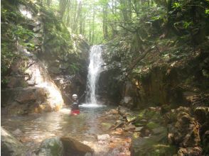 プランの魅力 20ノ滝 の画像