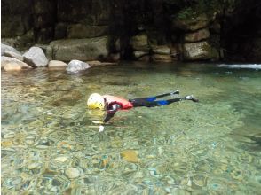 プランの魅力 お魚はいるかな？ の画像
