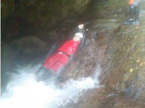 プランの魅力 プチスライダー の画像