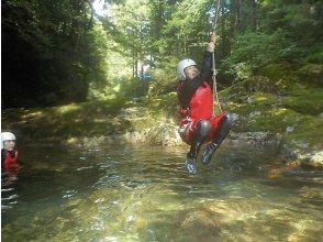 プランの魅力 気分はターザン の画像