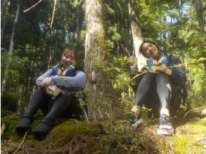 プランの魅力 ティータイム の画像