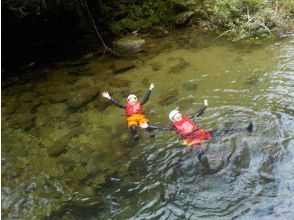 プランの魅力 とにかく水がきれい の画像