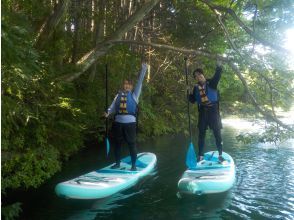 プランの魅力 木漏れ日が気持ち良い の画像