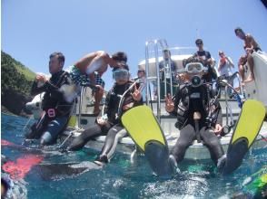 プランの魅力 オプションで体験ダイビングもOK の画像