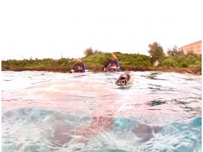 プランの魅力  の画像