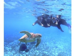 プランの魅力  の画像