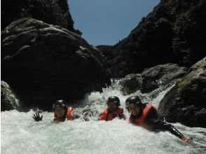 プランの魅力 皆で暑さを吹き飛ばせ の画像