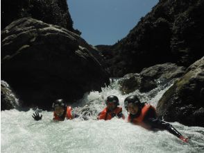 プランの魅力 皆で暑さを吹き飛ばせ の画像