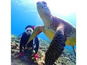 プランの魅力 少人数制で安心のダイビング の画像