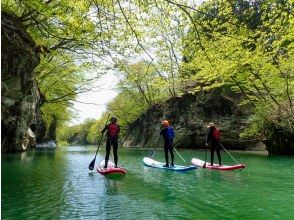 プランの魅力 新緑のトンネルを抜けて の画像