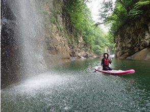 プランの魅力 大自然の贅沢ミスト の画像