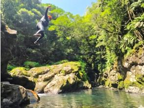 プランの魅力 緑深い渓谷！雄大な自然のスケール感！これが加江田渓谷です の画像