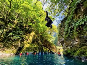 プランの魅力 豪快ダイブ！この絶景は宮崎市内から30分の場所にあります の画像