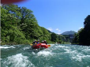 プランの魅力 大自然の宝庫と温泉 の画像